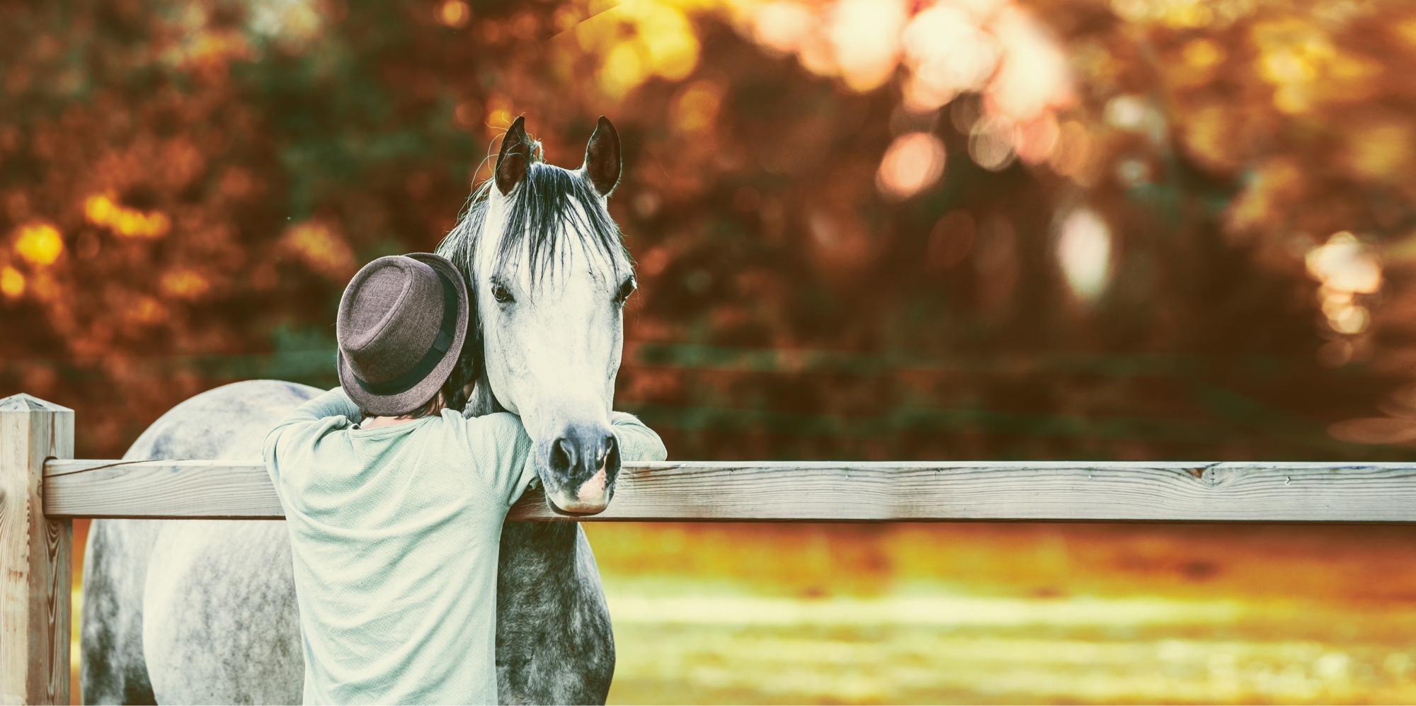 HorseAdds Paardensupplementen