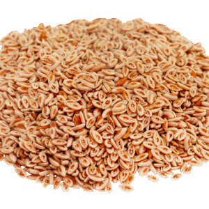 Psylliumzaad voor paarden